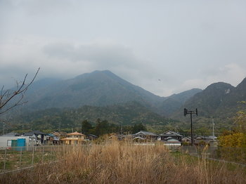 DSCN0410.JPG