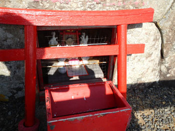 DSCN0721.JPG
