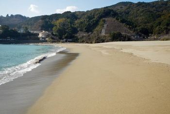 DSCN3310.jpg