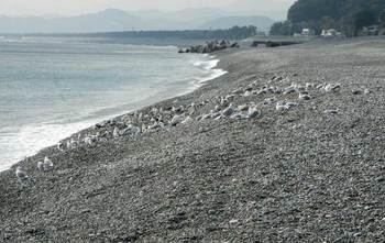 DSCN3338.jpg