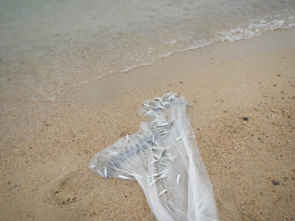 比良山系投網行 水辺の憩