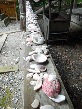 DSCN7777@L̉q.jpg