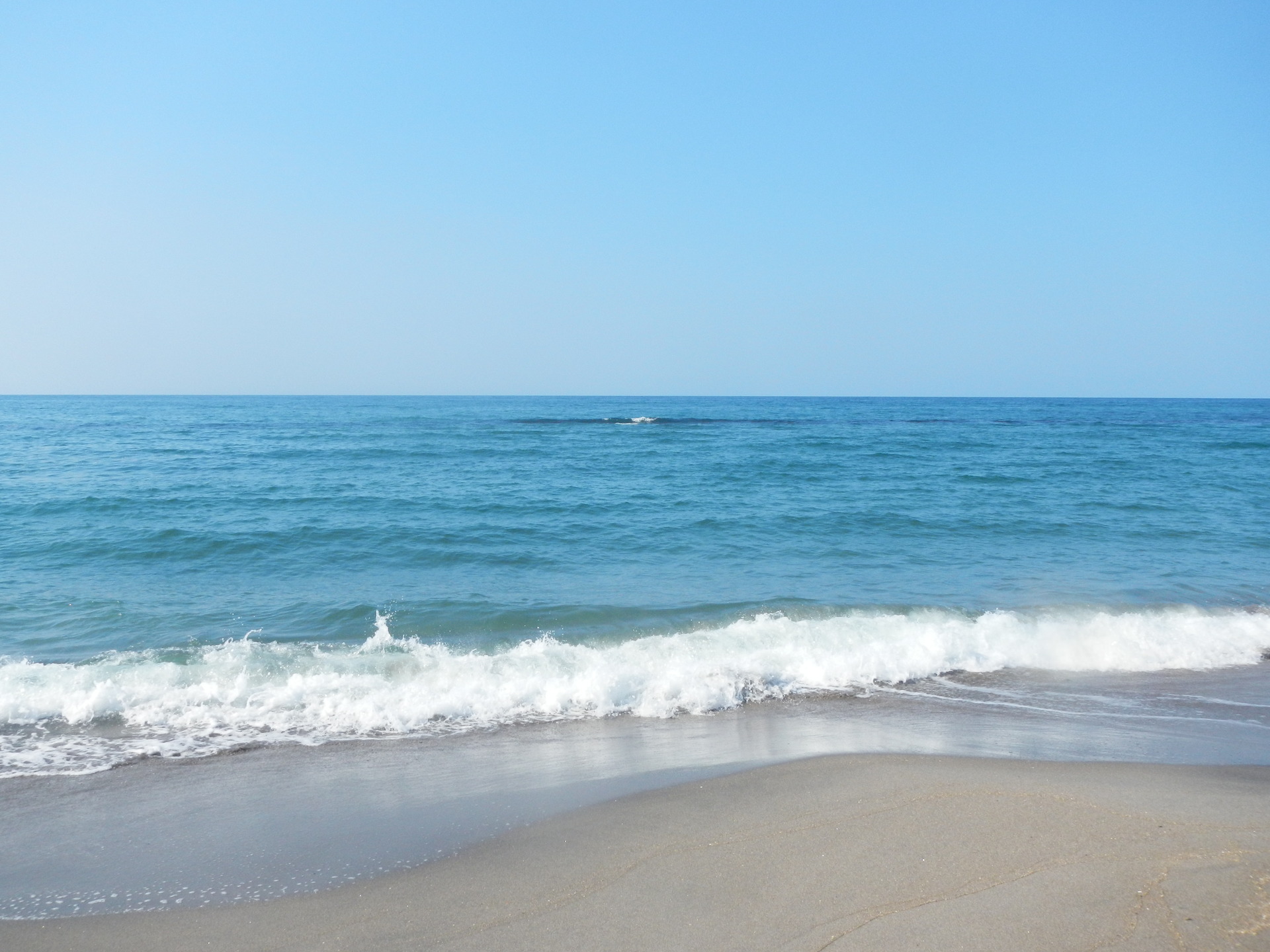 夏の海辺: 水辺の憩