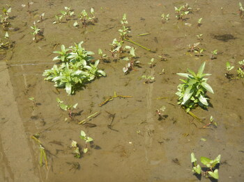 DSCN9626.JPG