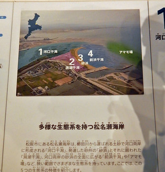 DSCN9993@̐.jpg