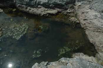 DSC_0105.jpg