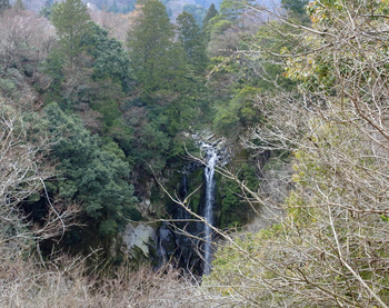 DSC_0204-Si.jpg