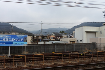 DSC_8849.JPG