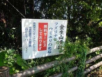 うれしいサービス.jpg