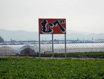 むべ大看板.jpg