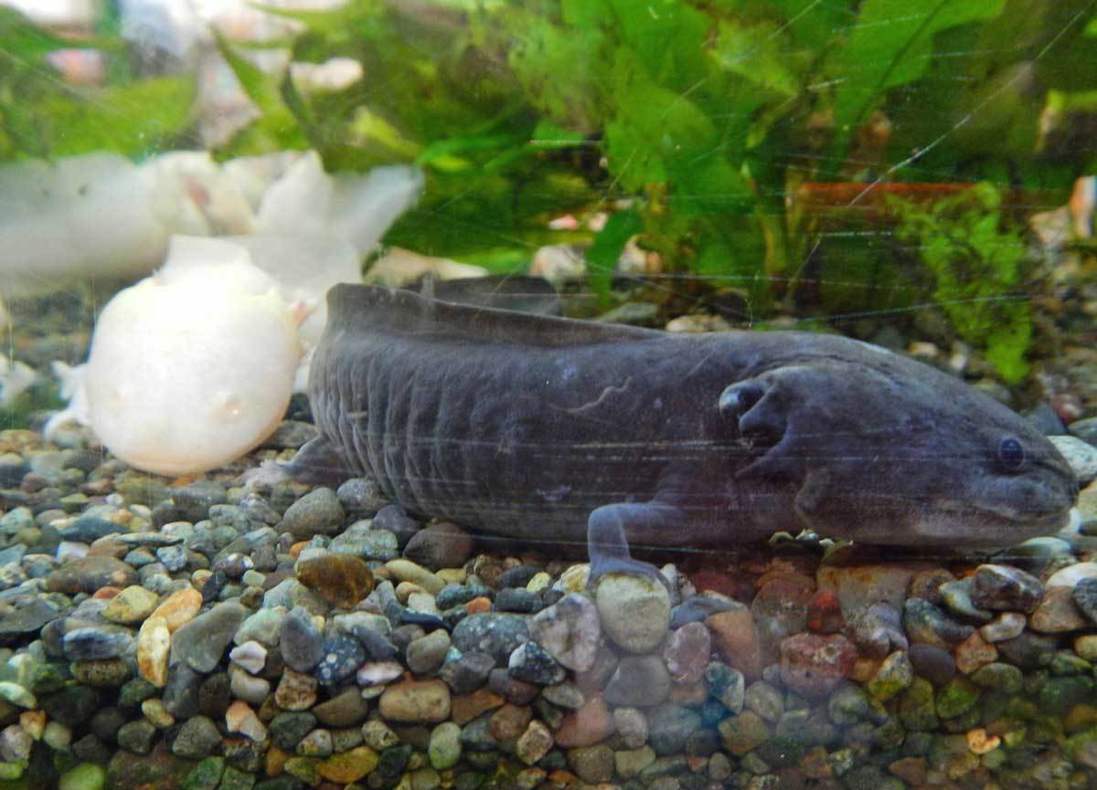 水生植物公園の隠れたスポット 水辺の憩