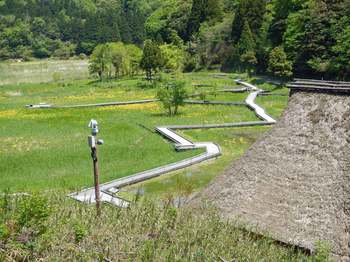 中池見湿地.jpg