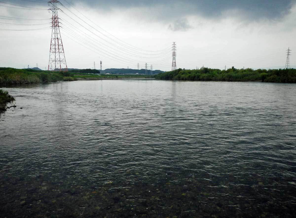 員弁川のシジミ掻き 水辺の憩