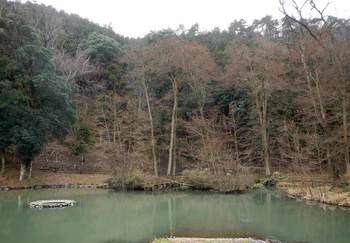 山のふもとの沼.jpg