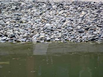 州浜の汀線.jpg
