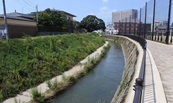 市内の川.jpg