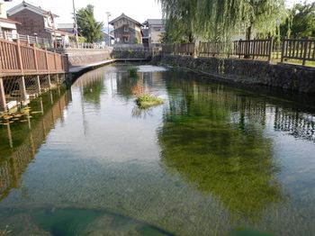 本願清水の池.jpg