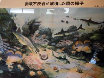 楽しげな古生代の海.jpg