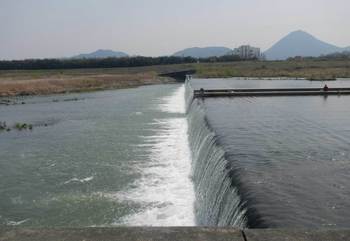 水量が多い野洲川堰堤.jpg