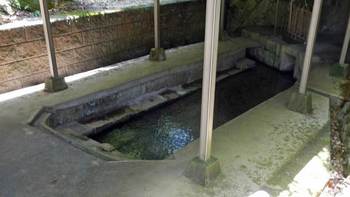 泉のお清水.jpg
