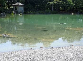 浅場の情景.jpg