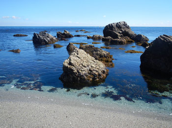 浜と岩礁.jpg