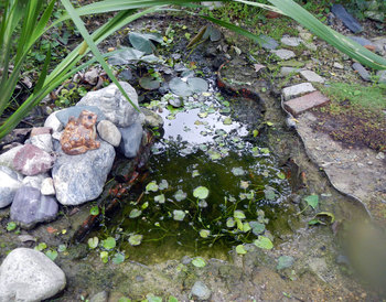 漏水池.jpg