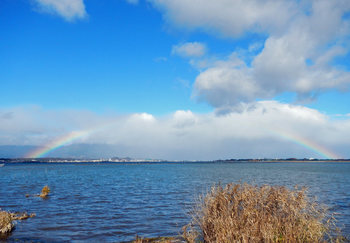 琵琶湖に架る虹.jpg