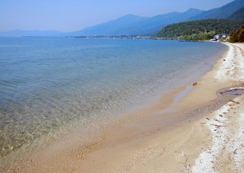 琵琶湖岸.jpg