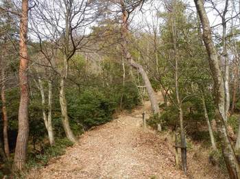 登山道.jpg