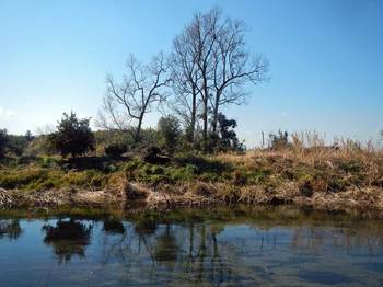 祓川向こう岸.jpg