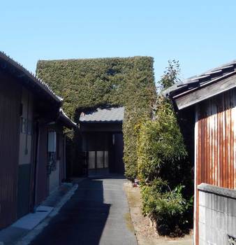 祓川生垣門.jpg