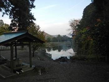 神社の池.jpg