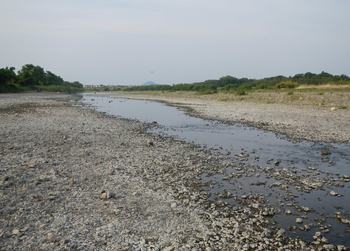 細川の野洲川本流.jpg