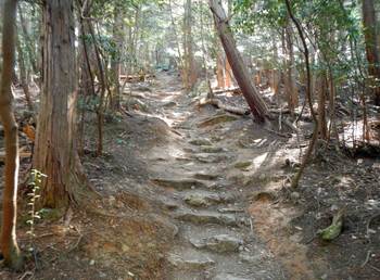 表登山道.jpg
