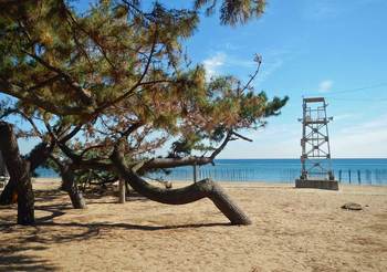 鼓ヶ浦海水浴場.jpg