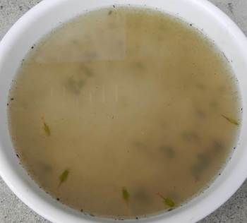 DSCN2951集まった生.jpg