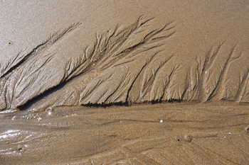 P3010068.JPG