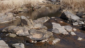 P3090103.JPG