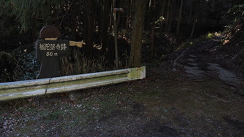 P3090235.JPG