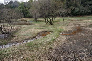 P3120793　湿地景.jpg
