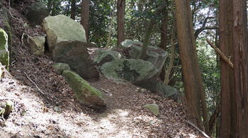 P4050040.JPG