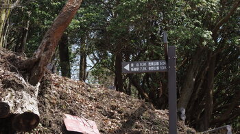 P4050054.JPG