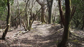 P4050081.JPG