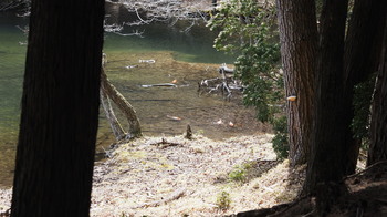 P4050095.JPG