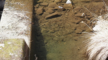 P4050135.JPG