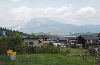 PA230184@ȐW.jpg