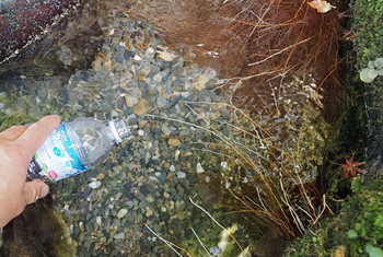 PA230293@VR.jpg