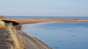 PC110804.JPG