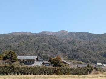 thumbnail_PXL_20250322_032254875.jpg